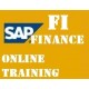 SAP FINANCE